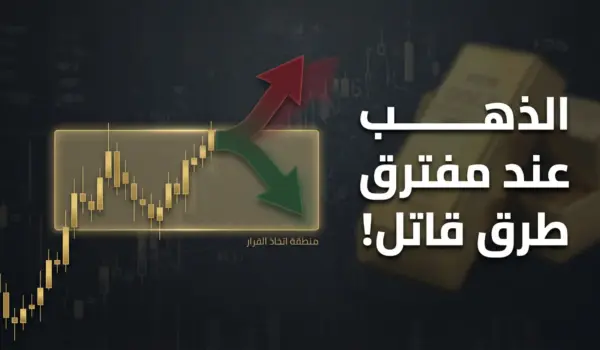 صعود الذهب 400 دولار أم هبوط 150 دولار؟! 20 فبراير 2026