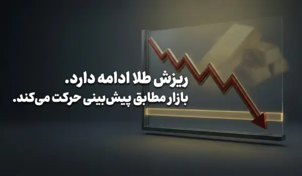 ادامه ریزش طلا | حرکت بازار طبق پیش‌بینی – ۲۵ فوریه ۲۰۲۶