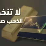 تحليل الذهب اليومي 11 فبراير 2026 (الخميس)