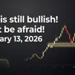 Daily Gold Analysis February 13, 2026 (Friday)