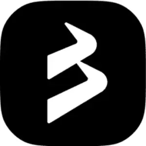 blackbull markets logo 2