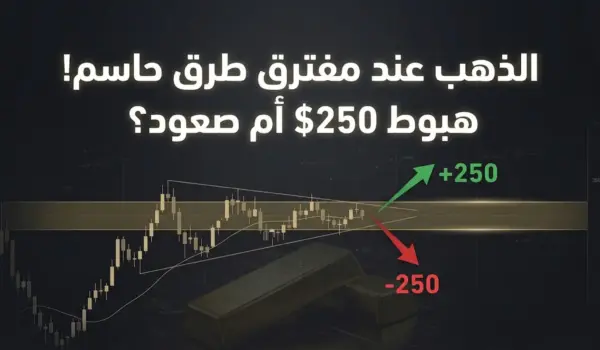 d8a7d984d8b0d987d8a8 d8b9d986d8af d985d981d8aad8b1d982 d8b7d8b1d982 d985d987d985 d987d8a8d988d8b7 250 d8afd988d984d8a7d8b1 d8a3d985 d8b5 1