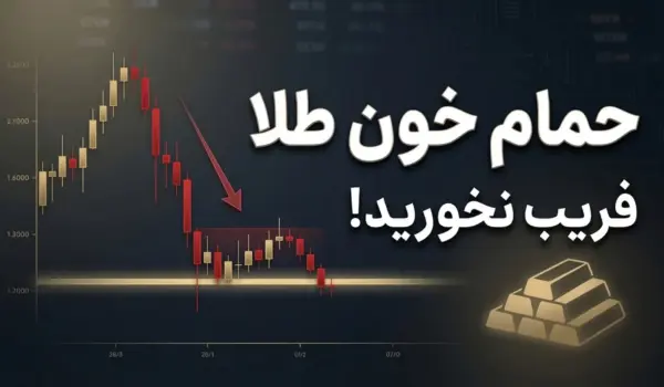 d8add985d8a7d985 d8aed988d986 d8b7d984d8a7d89b d981d8b1db8cd8a8 d986d8aed988d8b1db8cd8af d8aad8add984db8cd984 d8a7d985d8b1d988d8b2 1