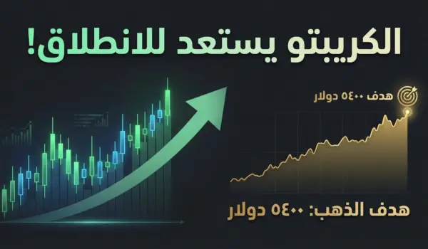 d8b5d8add98ad8ad e29c85 d8a7d984d8b9d985d984d8a7d8aa d8a7d984d8b1d982d985d98ad8a9 d8aad8b3d8aad8b9d8af d984d984d8a7d986d8b7d984d8a7d982