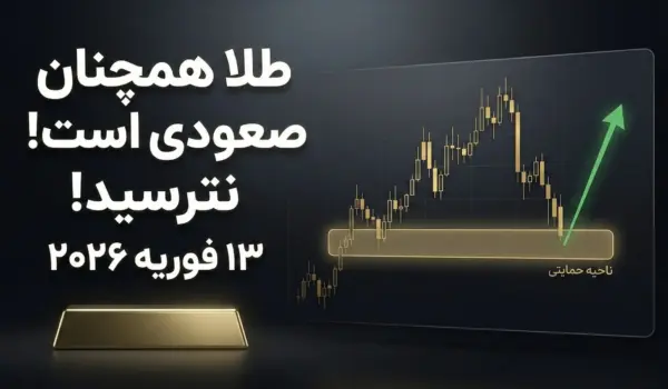 d8b5d8addb8cd8ad d8a8d988d8af e29c85 d8b7d984d8a7 d987d985da86d986d8a7d986 d8b5d8b9d988d8afdb8c d8a7d8b3d8aad89b d986d8aad8b1d8b3db8c 1