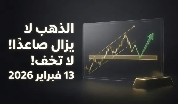 d8b5d8addb8cd8ad e29c85 d8a7d984d8b0d987d8a8 d984d8a7 d98ad8b2d8a7d984 d8b5d8a7d8b9d8afd98bd8a7 d984d8a7 d8aad8aed981 13 d981d8a8d8b1 1