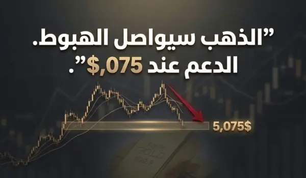 d8b5d8addb8cd8ad e29c85 d987d984 d8a7d982d8aad8b1d8a8 d8a7d984d8b3d982d988d8b7 d8a7d984d8aad8a7d984d98a d984d984d8b0d987d8a8d89f d8aa 1