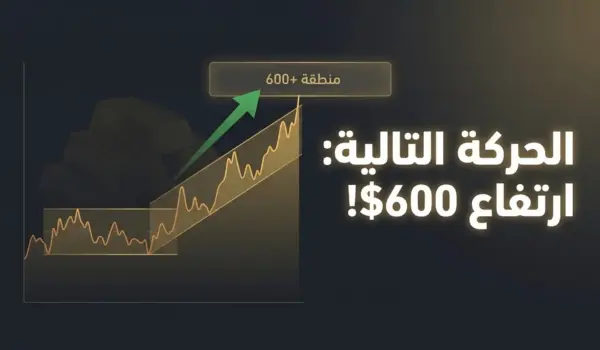 d987d984 d8b3d98ad8b1d8aad981d8b9 d8a7d984d8b0d987d8a8 600 d8afd988d984d8a7d8b1d89f d8aad8add984d98ad984 d985d8aed8b7d8b7 d8a7d984d8b0 1