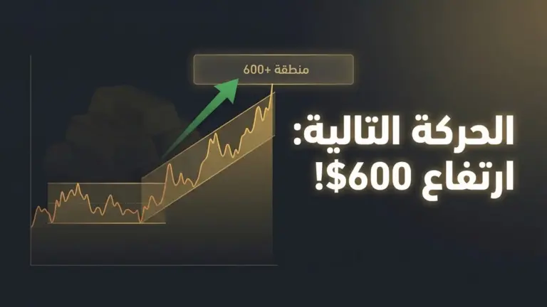 d987d984 d8b3d98ad8b1d8aad981d8b9 d8a7d984d8b0d987d8a8 600 d8afd988d984d8a7d8b1d89f d8aad8add984d98ad984 d985d8aed8b7d8b7 d8a7d984d8b0 1